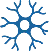 Neurology Services